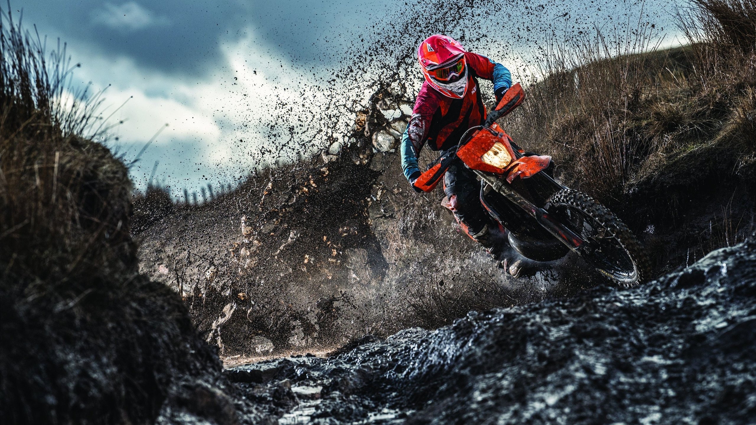 开云体育官方网站-锡安怒吼撕裂悬念！广厦提前终结鹈鹕，制胜表现宣告王者归来  第1张